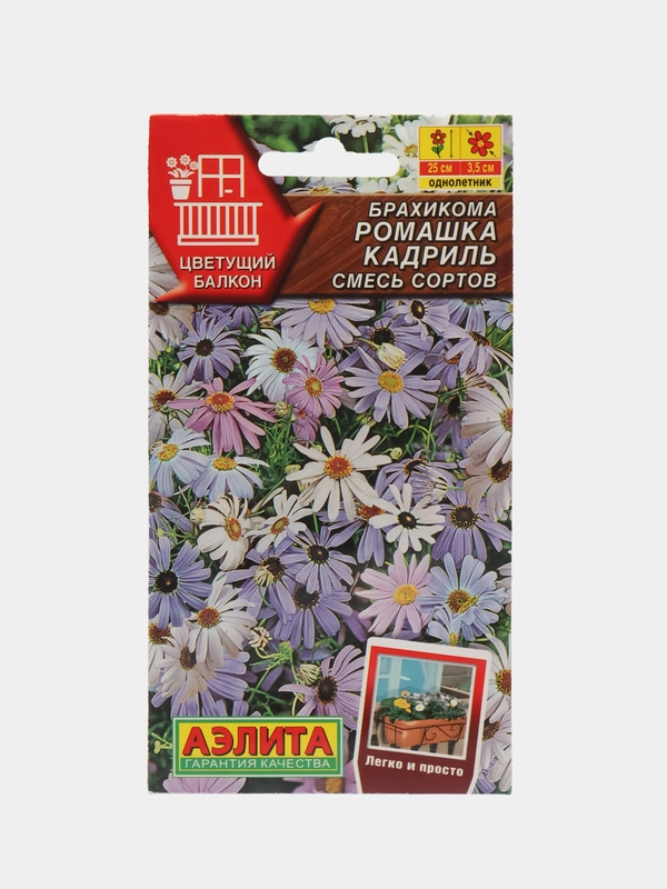 Брахикома Ромашка кадриль, смесь сортов (семена,цветы)