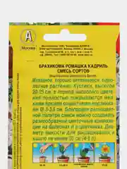 Брахикома Ромашка кадриль, смесь сортов (семена,цветы)
