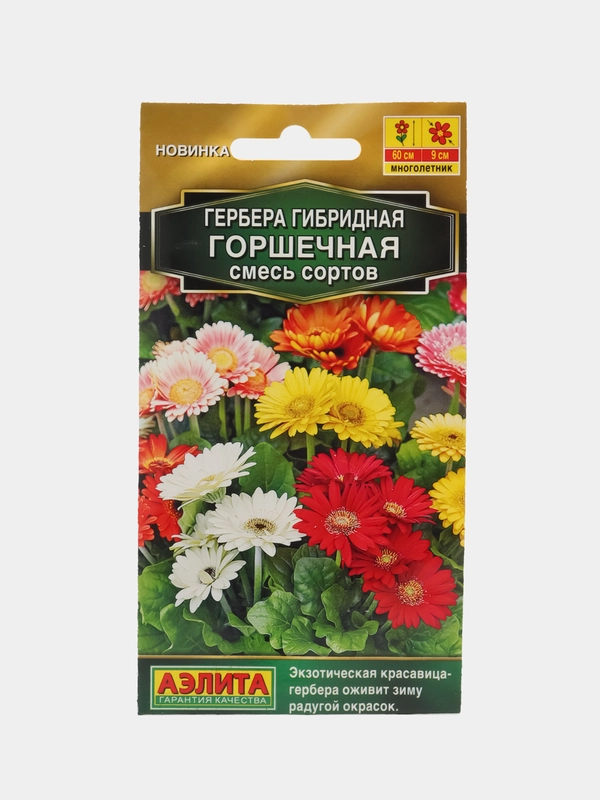 Гербера Горшечная, смесь сортов (семена,цветы)