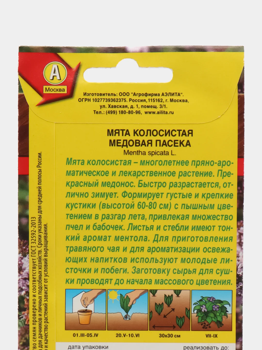 Мята колосистая Медовая пасека (семена)