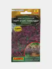Алиссум Норт фэйс лавендер каскадный (семена,цветы)