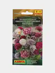 Гвоздика Пиноккио карликовая махровая, смесь сортов (семена,цветы)