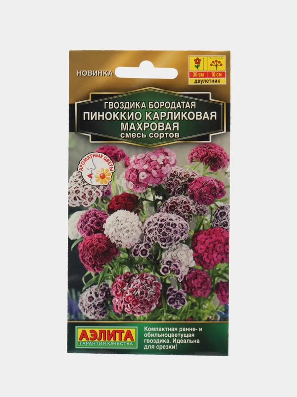 Гвоздика Пиноккио карликовая махровая, смесь сортов (семена,цветы)