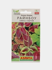 Колеус блюме Райнбоу, смесь сортов (семена,цветы)