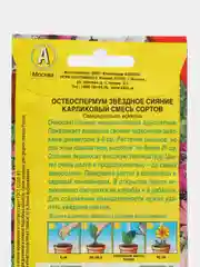 Остеоспермум Звездное сияние карликовый, смесь сортов (семена,цветы)