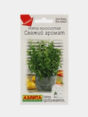 Мята колосистая Свежий аромат (семена)