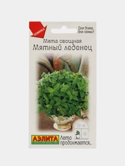 Мята овощная Мятный леденец (семена)