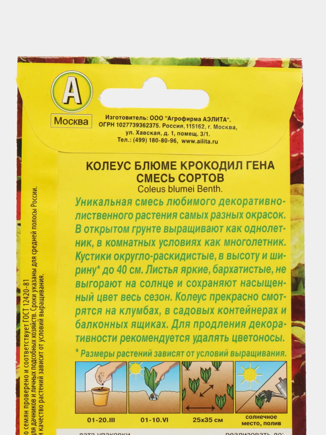 Колеус блюме Крокодил Гена, смесь сортов (семена,цветы)