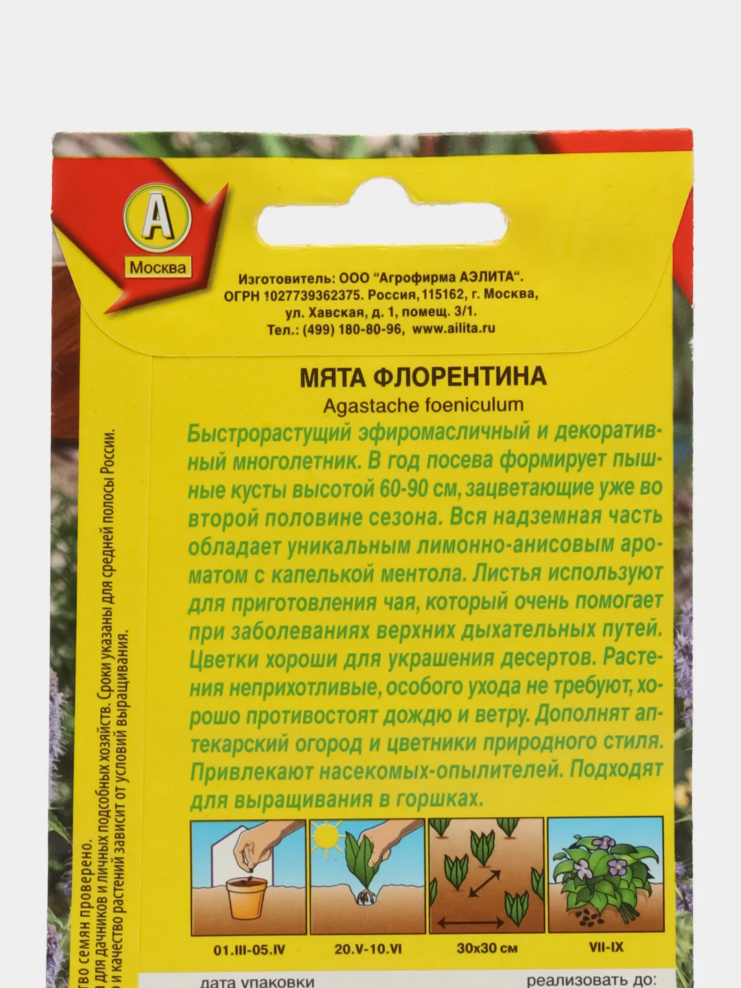 Мята Флорентина (семена)