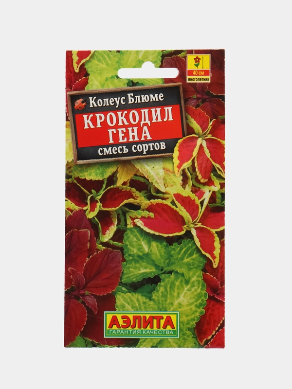 Колеус блюме Крокодил Гена, смесь сортов (семена,цветы)