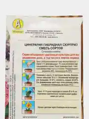 Цинерария гибридная Сюрприз, смесь сортов (семена,цветы)