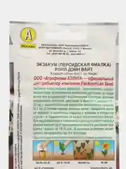 Экзакум (Персидская фиалка) Роял дэйн вайт (семена,цветы)
