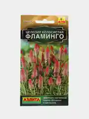 Целозия колосистая Фламинго (семена,цветы)
