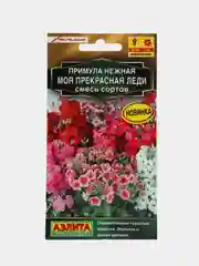Примула Моя прекрасная леди, смесь сортов (семена,цветы)