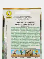Целозия гребенчатая Ту хот ту хандл скарлет (семена,цветы)