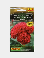 Целозия гребенчатая Ту хот ту хандл скарлет (семена,цветы)
