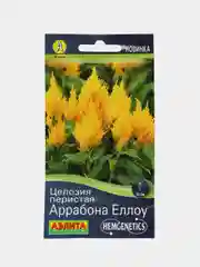 Целозия перистая Аррабона еллоу (семена,цветы)