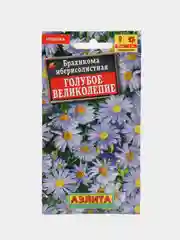 Брахикома Голубое великолепие (семена,цветы)