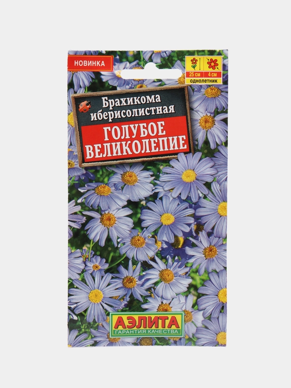 Брахикома Голубое великолепие (семена,цветы)