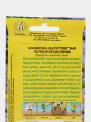 Брахикома Голубое великолепие (семена,цветы)