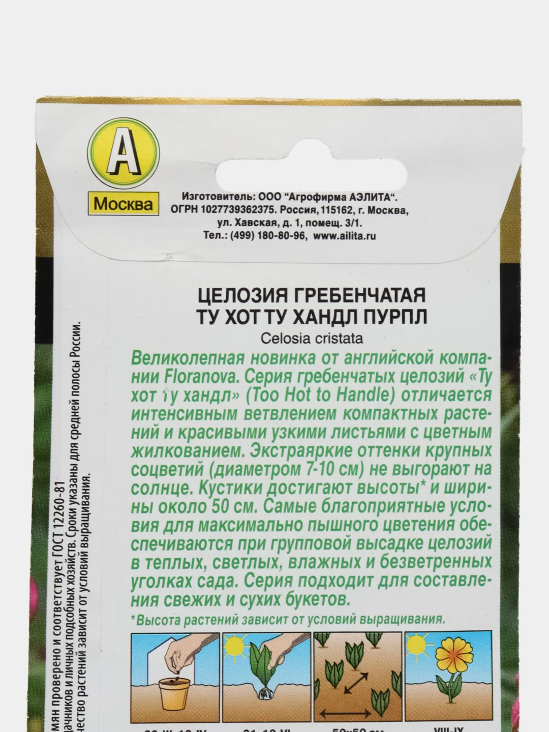 Целозия гребенчатая Ту хот ту хандл пурпл (семена,цветы)