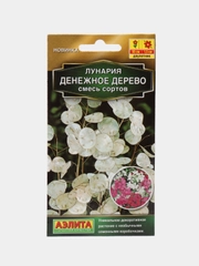 Лунария Денежное дерево, смесь сортов (семена,цветы)