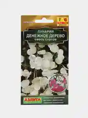 Лунария Денежное дерево, смесь сортов (семена,цветы)