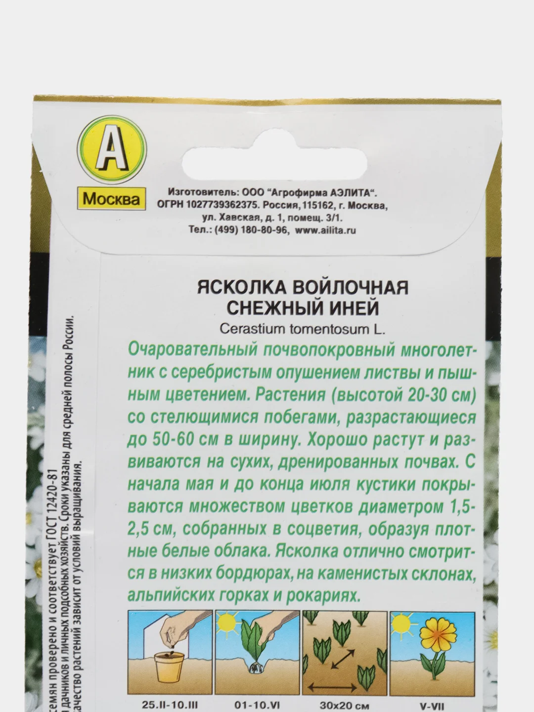 Ясколка Снежный иней (семена,цветы)