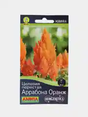 Целозия перистая Аррабона оранж (семена,цветы)
