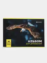 Альбом для рисования, А4, 40 л, BRAUBERG, 200х283 мм, "Дикие животные"