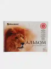 Альбом для рисования А4,40 листов,гребень, обложка картон, 205х290 мм, "Благородные кошки"