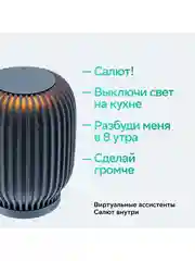 Серый умная колонка SberBoom 40 Вт голосовым ассистентом Салют
