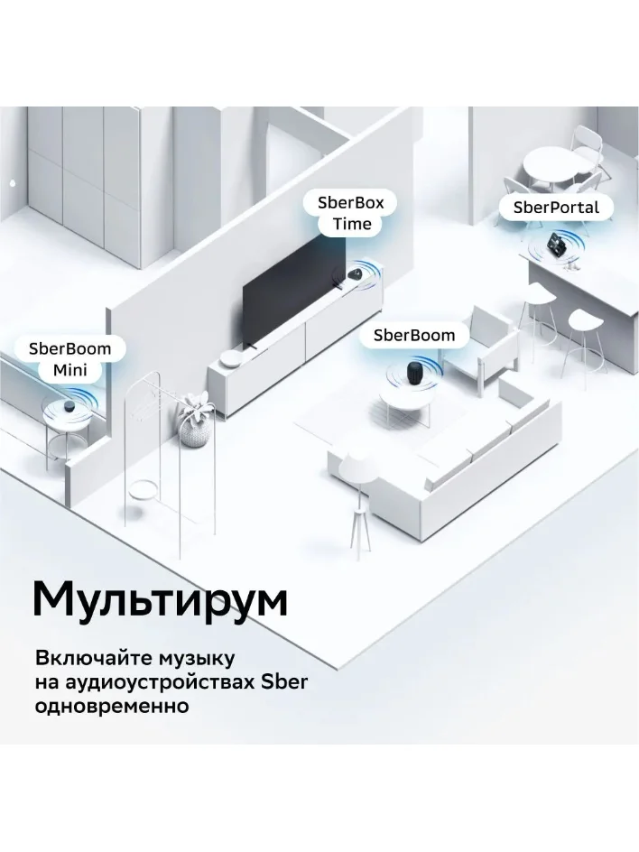 Серый умная колонка SberBoom 40 Вт голосовым ассистентом Салют