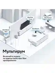 Серый умная колонка SberBoom 40 Вт голосовым ассистентом Салют