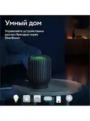 Серый умная колонка SberBoom 40 Вт голосовым ассистентом Салют
