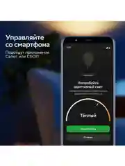 Умная сверхъяркая лампа Sber с адаптивным светом E27/A70/14 Вт/1500Лм/WiFi