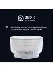 Серый умная колонка Sberboom Mini 2 с голосовым ассистентом Салют и Gigachat, серый