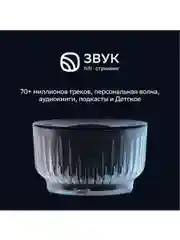 Черный умная колонка Sberboom Mini 2 с голосовым ассистентом Салют и Gigachat, черный