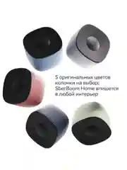 Серый умная колонка Sberboom Home с голосовым ассистентом Салют, Zigbee и Gigachat, Туманный