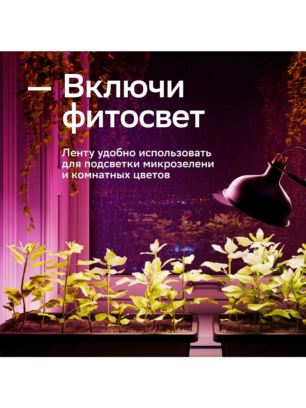 Умная светодиодная лента Sber с адаптивным светом 6 Вт/600 Лм/WiFi