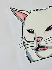 Наклейка на авто мото злой кот мем голова кота
