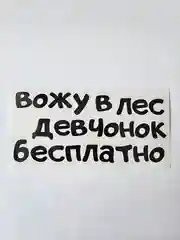Прозрачный наклейка надпись на автомобиль стекло кузов мото "вожу девчонок в лес бесплатно" мотоцикл