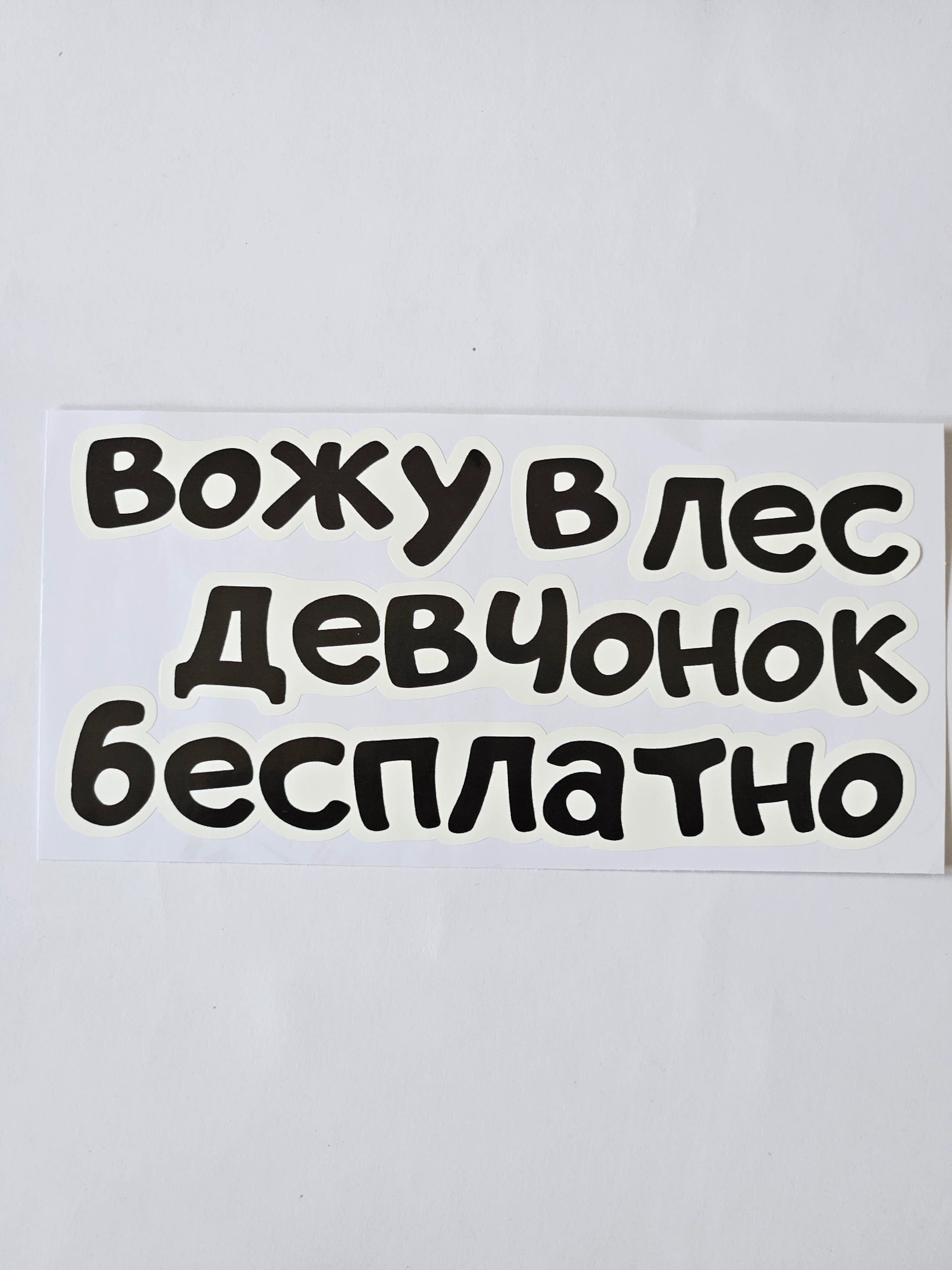 Прозрачный наклейка надпись на автомобиль стекло кузов мото "вожу девчонок в лес бесплатно" мотоцикл