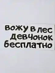 Прозрачный наклейка надпись на автомобиль стекло кузов мото "вожу девчонок в лес бесплатно" мотоцикл