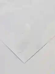 Белый наклейка для декора декоративная интерьерная кот кошка котенок бабочки на мебель стену