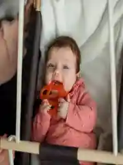 Прорезыватель для зубов BABOO, с охлаждающий, оранжевый