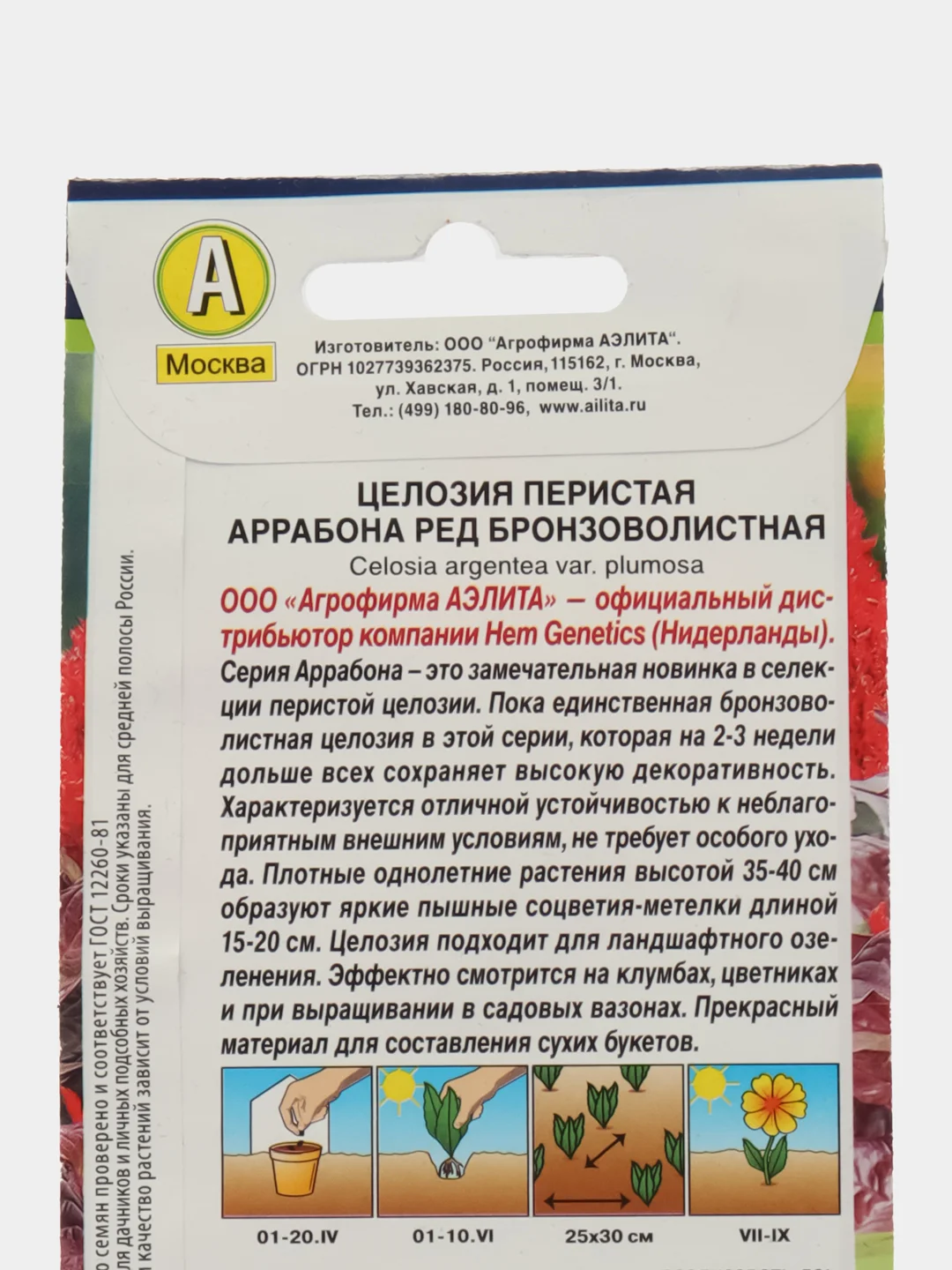 Целозия перистая Аррабона ред бронзоволистная (семена,цветы)