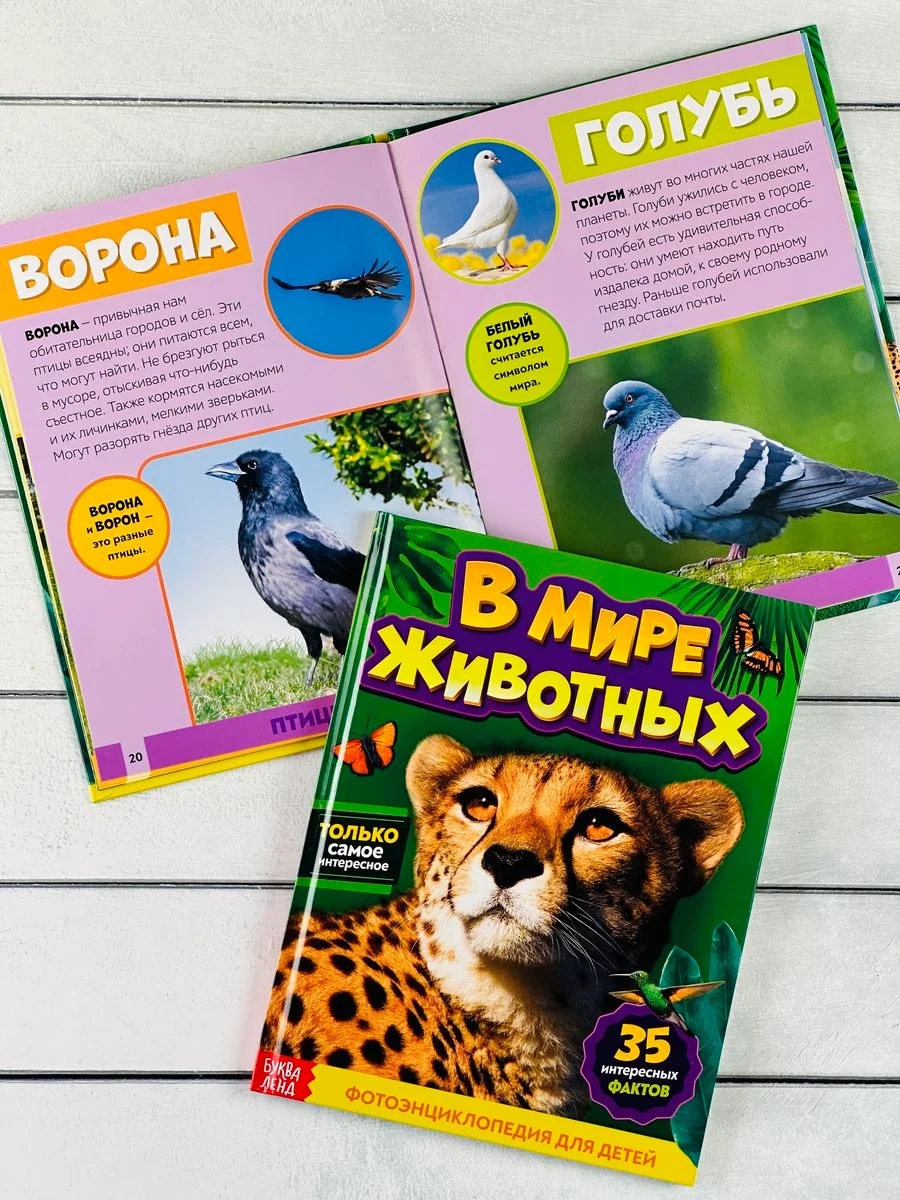 Энциклопедия для детей В мире животных Фото Картинки 48стр