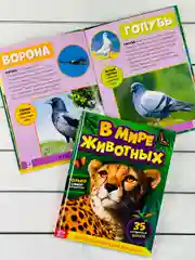 Энциклопедия для детей В мире животных Фото Картинки 48стр