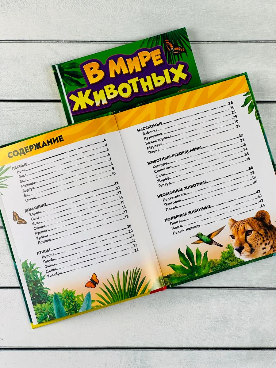 Энциклопедия для детей В мире животных Фото Картинки 48стр